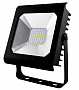 Эра PRO Прожектор светодиодный 196х241мм 50Вт IP65 4000К Черный