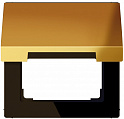 Jung Имитация золота Крышка откидная с пружиной для розеток и изделий 50х50