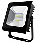 Эра PRO Прожектор светодиодный 196х241мм 50Вт IP65 6500К Черный