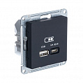 Розетка USB Карбон AtlasDesign A + тип-C 45W высокоскор.заряд. QC PD механизм
