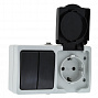 EKF PROxima Венеция Серый Блок розетка-выключатель 2-клавишный 16A с заземлением с крышкой IP54 с защитными шторками
