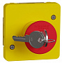 Schneider Electric Mureva Styl Желтый Выключатель аварийный с ключом для активации 3A IP55
