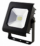 Эра PRO Прожектор светодиодный 121х137мм 10Вт IP65 2700/3000К Черный