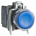 Schneider Electric Кнопка 22мм 24В синяя возвратная с подсветкой