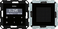 Gira System-55 Черное стекло Радиоприемник скрытого монтажа с функцией RDS с динамиком