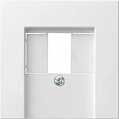 Gira System-55 Белый Накладка розетки телефонной TAE и разъема USB