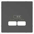 Merten System M Антрацит Центральная накладка для USB механизма 2,1A SM